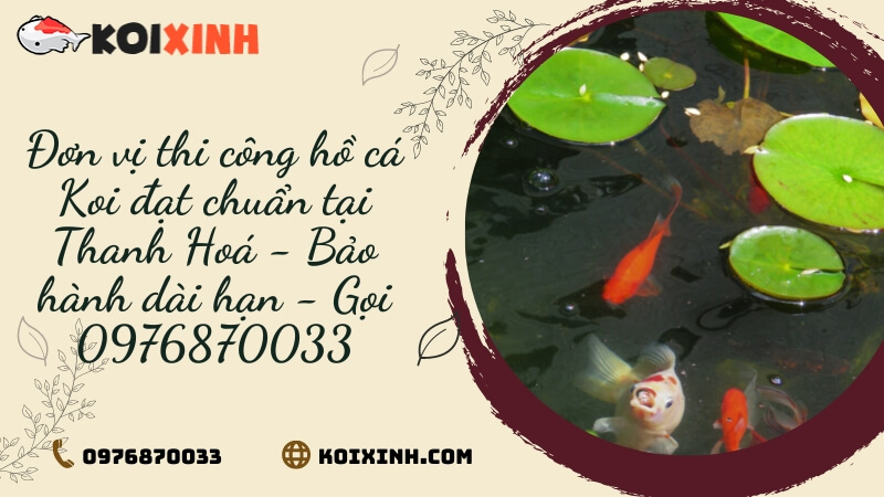Đơn Vị Thi Công Hồ Cá Koi đạt Chuẩn Tại Thanh Hoá – Bảo Hành Dài Hạn – Gọi 0976870033 Đơn Vị Thi Công Hồ Cá Koi đạt Chuẩn Tại Thanh Hoá – Bảo Hành Dài Hạn – Gọi 0976870033