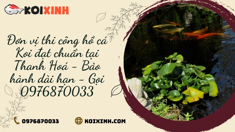 Đơn Vị Thi Công Hồ Cá Koi đạt Chuẩn Tại Thanh Hoá – Bảo Hành Dài Hạn – Gọi 0976870033 Đơn Vị Thi Công Hồ Cá Koi đạt Chuẩn Tại Thanh Hoá – Bảo Hành Dài Hạn – Gọi 0976870033