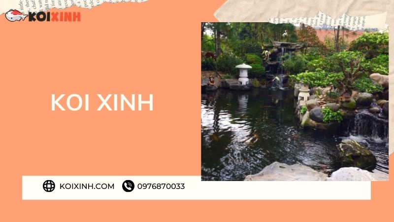 Đơn Vị Thi Công, Thiết Kế Hồ Cá Koi Tại Điện Biên – Bảo Hành Dài Hạn – Hotline: 0976870033 Đơn Vị Thi Công, Thiết Kế Hồ Cá Koi Tại Điện Biên – Bảo Hành Dài Hạn – Hotline: 0976870033