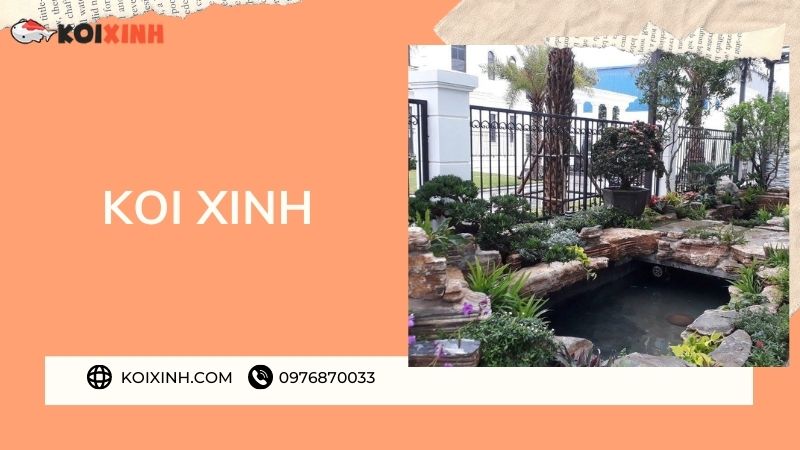 Đơn Vị Thi Công, Thiết Kế Hồ Cá Koi Tại Điện Biên – Bảo Hành Dài Hạn – Hotline: 0976870033 Đơn Vị Thi Công, Thiết Kế Hồ Cá Koi Tại Điện Biên – Bảo Hành Dài Hạn – Hotline: 0976870033
