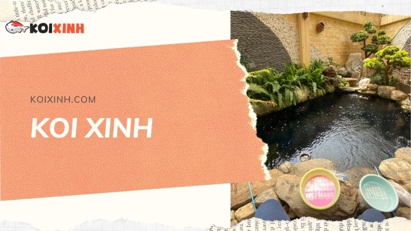 Đơn Vị Thi Công, Thiết Kế Hồ Cá Koi Tại Lai Châu – Bảo Hành Dài Hạn – Hotline: 0976870033 Đơn Vị Thi Công, Thiết Kế Hồ Cá Koi Tại Lai Châu – Bảo Hành Dài Hạn – Hotline: 0976870033