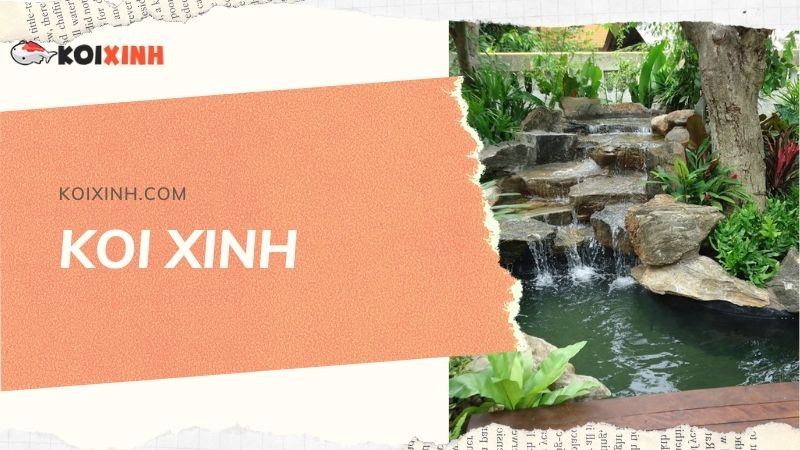 Đơn Vị Thi Công, Thiết Kế Hồ Cá Koi Tại Lai Châu – Bảo Hành Dài Hạn – Hotline: 0976870033 Đơn Vị Thi Công, Thiết Kế Hồ Cá Koi Tại Lai Châu – Bảo Hành Dài Hạn – Hotline: 0976870033