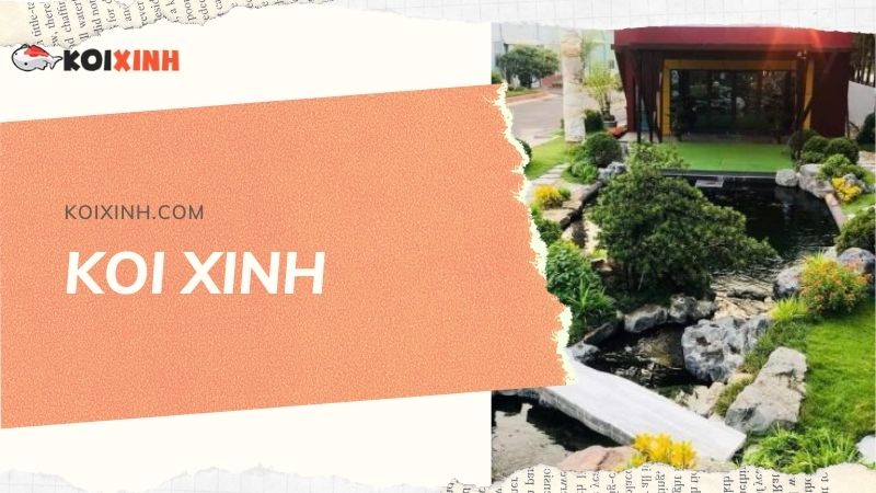Đơn Vị Thi Công, Thiết Kế Hồ Cá Koi Tại Lai Châu – Bảo Hành Dài Hạn – Hotline: 0976870033 Đơn Vị Thi Công, Thiết Kế Hồ Cá Koi Tại Lai Châu – Bảo Hành Dài Hạn – Hotline: 0976870033