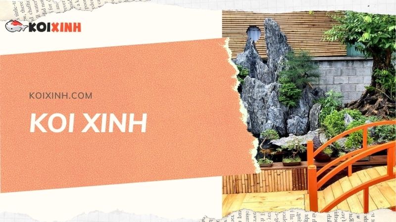 Đơn Vị Thi Công, Thiết Kế Hồ Cá Koi Tại Lai Châu – Bảo Hành Dài Hạn – Hotline: 0976870033 Đơn Vị Thi Công, Thiết Kế Hồ Cá Koi Tại Lai Châu – Bảo Hành Dài Hạn – Hotline: 0976870033