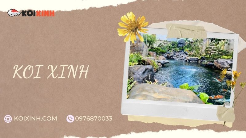 Đơn Vị Thi Công, Thiết Kế Hồ Cá Koi Tại Nam Định – Bảo Hành Dài Hạn – Hotline: 0976870033