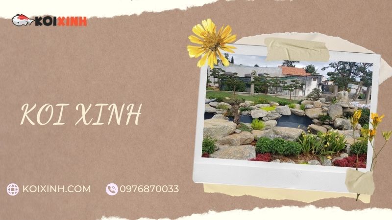 Đơn Vị Thi Công, Thiết Kế Hồ Cá Koi Tại Nam Định – Bảo Hành Dài Hạn – Hotline: 0976870033