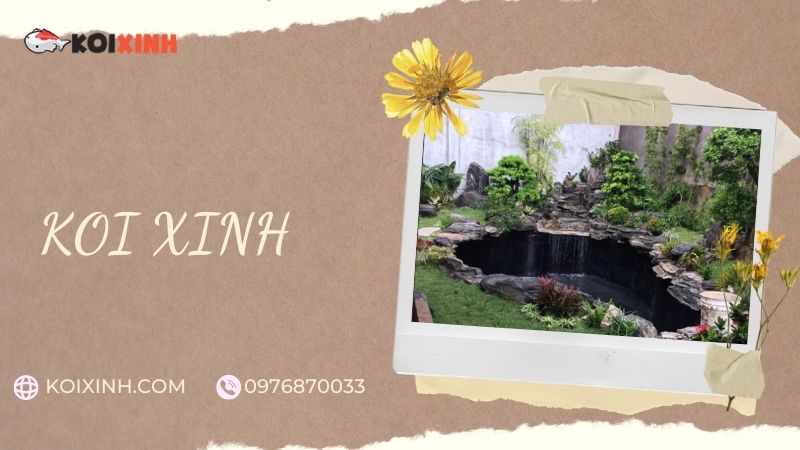 Đơn Vị Thi Công, Thiết Kế Hồ Cá Koi Tại Nam Định – Bảo Hành Dài Hạn – Hotline: 0976870033