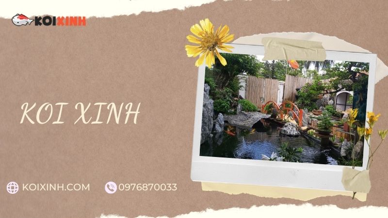 Đơn Vị Thi Công, Thiết Kế Hồ Cá Koi Tại Nam Định – Bảo Hành Dài Hạn – Hotline: 0976870033