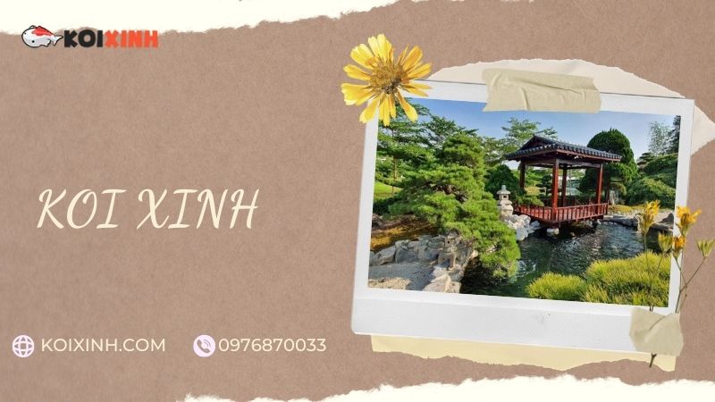 Đơn Vị Thi Công, Thiết Kế Hồ Cá Koi Tại Nam Định – Bảo Hành Dài Hạn – Hotline: 0976870033