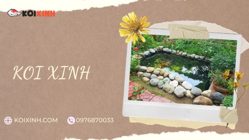 Đơn Vị Thi Công, Thiết Kế Hồ Cá Koi Tại Nam Định – Bảo Hành Dài Hạn – Hotline: 0976870033
