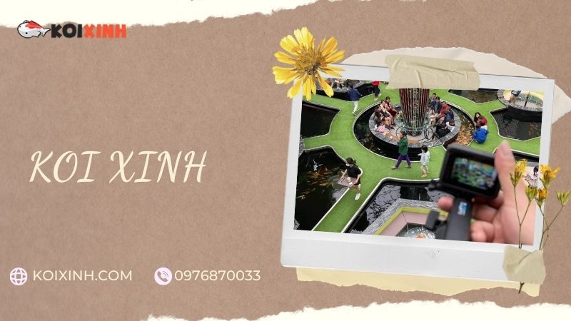 Đơn Vị Thi Công, Thiết Kế Hồ Cá Koi Tại Nam Định – Bảo Hành Dài Hạn – Hotline: 0976870033