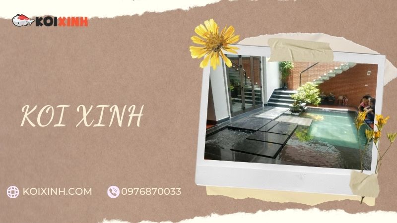 Đơn Vị Thi Công, Thiết Kế Hồ Cá Koi Tại Nam Định – Bảo Hành Dài Hạn – Hotline: 0976870033