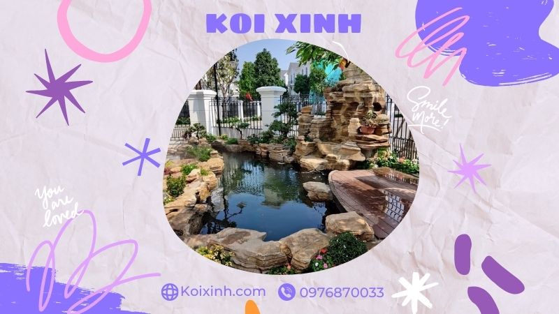 Đơn Vị Thi Công, Thiết Kế Hồ Cá Koi Tại Thái Bình – Bảo Hành Dài Hạn – Hotline: 0976870033