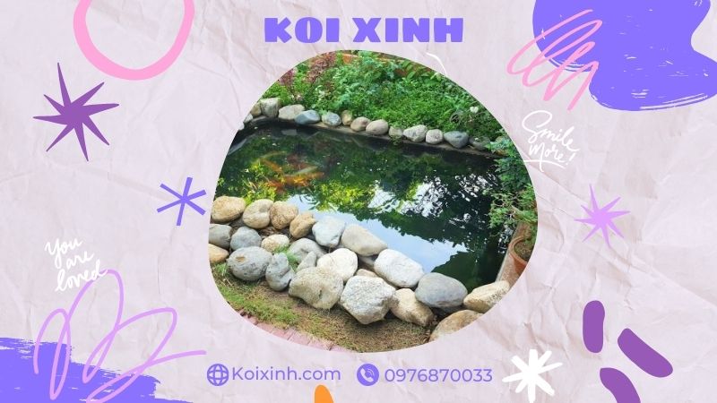 Đơn Vị Thi Công, Thiết Kế Hồ Cá Koi Tại Thái Bình – Bảo Hành Dài Hạn – Hotline: 0976870033