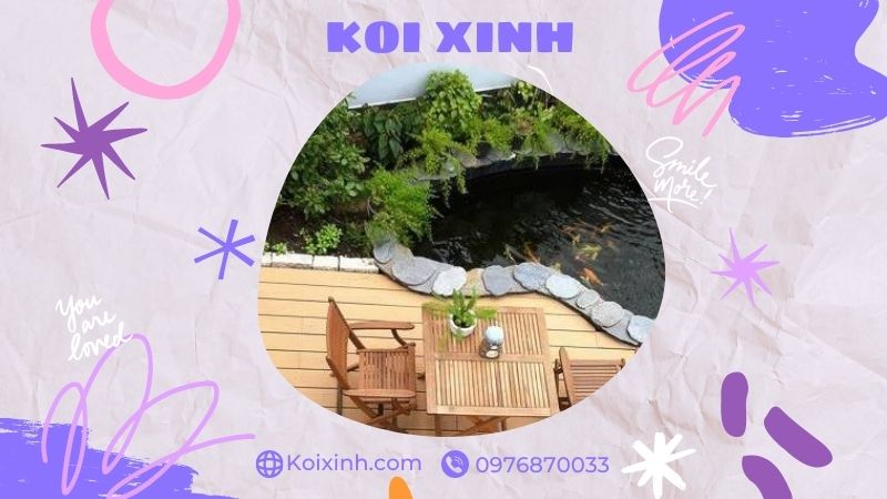 Đơn Vị Thi Công, Thiết Kế Hồ Cá Koi Tại Thái Bình – Bảo Hành Dài Hạn – Hotline: 0976870033