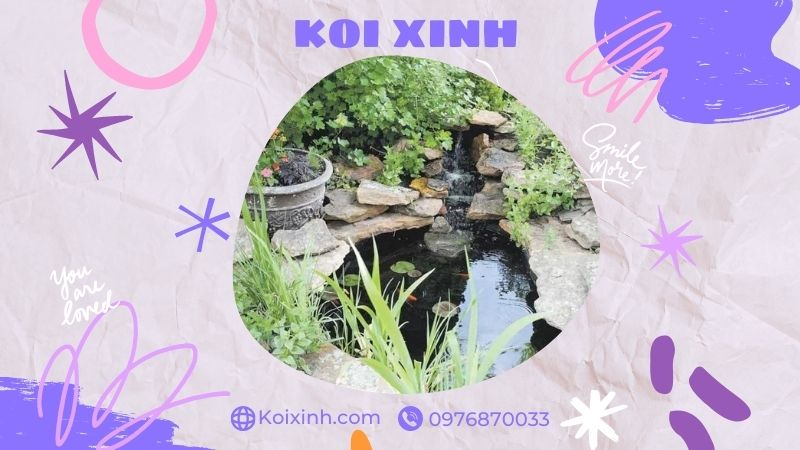 Đơn Vị Thi Công, Thiết Kế Hồ Cá Koi Tại Vĩnh Phúc – Bảo Hành Dài Hạn – Hotline: 0976870033 Đơn Vị Thi Công, Thiết Kế Hồ Cá Koi Tại Vĩnh Phúc – Bảo Hành Dài Hạn – Hotline: 0976870033