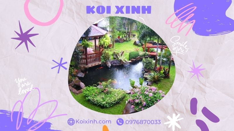 Đơn Vị Thi Công, Thiết Kế Hồ Cá Koi Tại Vĩnh Phúc – Bảo Hành Dài Hạn – Hotline: 0976870033 Đơn Vị Thi Công, Thiết Kế Hồ Cá Koi Tại Vĩnh Phúc – Bảo Hành Dài Hạn – Hotline: 0976870033