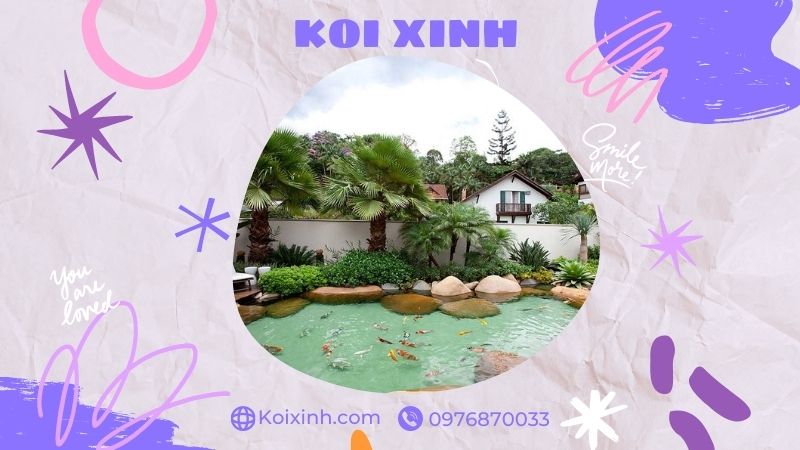 Đơn Vị Thi Công, Thiết Kế Hồ Cá Koi Tại Vĩnh Phúc – Bảo Hành Dài Hạn – Hotline: 0976870033 Đơn Vị Thi Công, Thiết Kế Hồ Cá Koi Tại Vĩnh Phúc – Bảo Hành Dài Hạn – Hotline: 0976870033