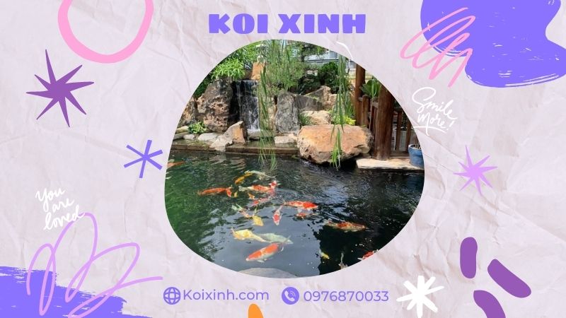 Đơn Vị Thi Công, Thiết Kế Hồ Cá Koi Tại Vĩnh Phúc – Bảo Hành Dài Hạn – Hotline: 0976870033 Đơn Vị Thi Công, Thiết Kế Hồ Cá Koi Tại Vĩnh Phúc – Bảo Hành Dài Hạn – Hotline: 0976870033