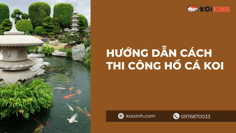 Thi Công Hồ Cá Koi Tại Hà Nội – Hướng Dẫn Cách Thi Công Hồ Cá Koi Chi Tiết