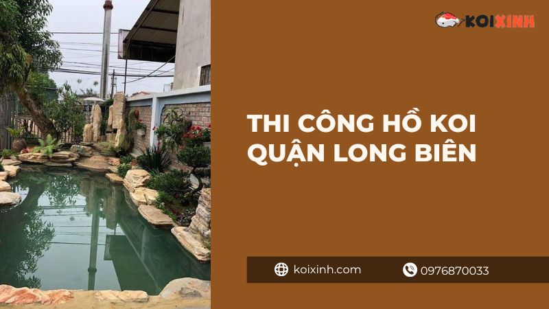 Thi Công Hồ Koi Quận Long Biên – Chuyên Nghiệp – Uy Tín