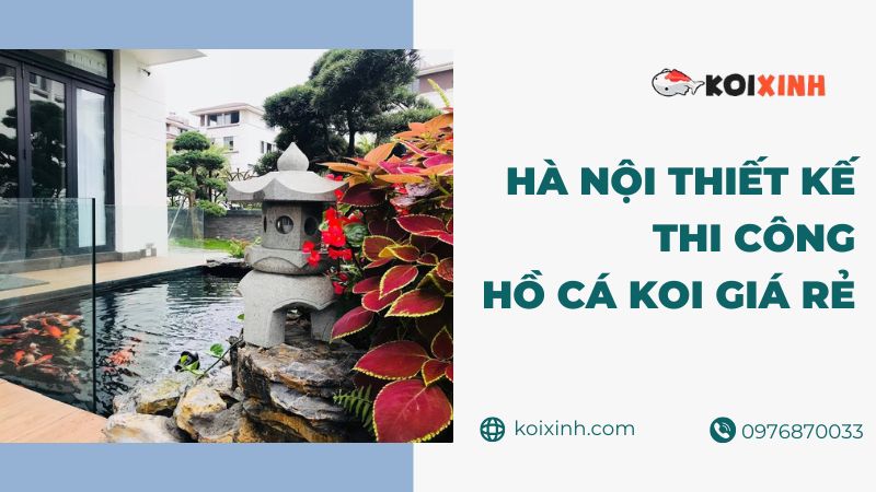 Hà Nội Thiết Kế Thi Công Hồ Cá Koi Giá Rẻ – Bảo Hành Dài Hạn Tại Hà Nội