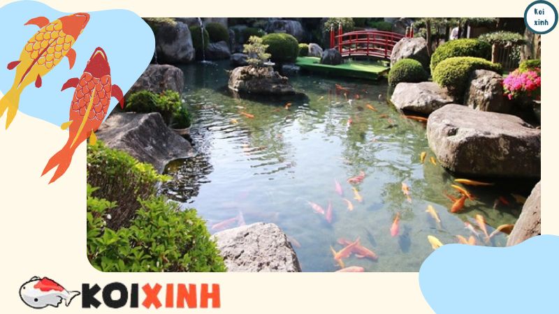 Các Loại Đá Dùng Để Thiết Kế Và Thi Công Hồ Cá Koi Uy Tín, Chất Lượng – Gọi 0976870033 Các Loại Đá Dùng Để Thiết Kế Và Thi Công Hồ Cá Koi Uy Tín, Chất Lượng – Gọi 0976870033