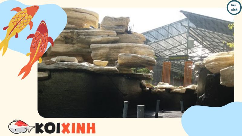 Thiết Kế Và Thi Công Hồ Cá Koi Rẻ, Đẹp, Uy Tín, Chất Lượng, Bảo Hành Dài Hạn – Gọi 0976870033 Thiết Kế Và Thi Công Hồ Cá Koi Rẻ, Đẹp, Uy Tín, Chất Lượng, Bảo Hành Dài Hạn – Gọi 0976870033