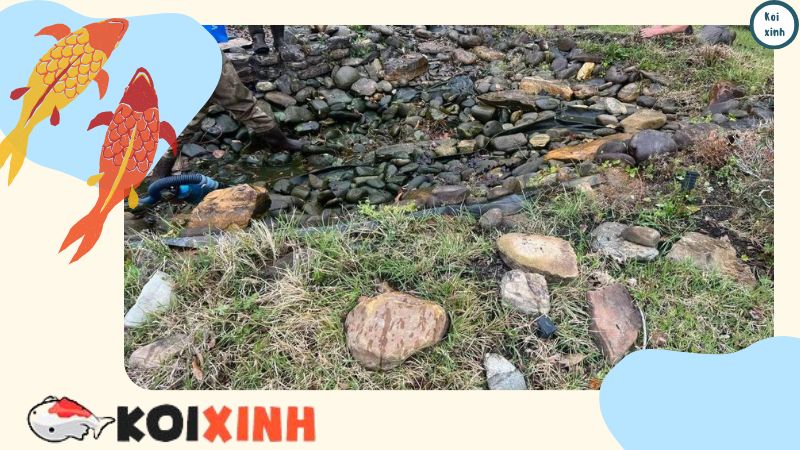 Ưu Và Nhược điểm Của Hồ Cá Koi ở Sân Sau Bảo trì có thể phức tạp