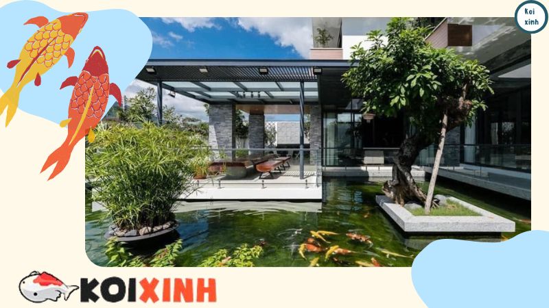 Hướng Dẫn Cách Chăm Sóc Cá Koi Lên Màu đẹp, Uy Tín, Chất Lượng – Gọi 0976870033 Hướng Dẫn Cách Chăm Sóc Cá Koi Lên Màu đẹp, Uy Tín, Chất Lượng – Gọi 0976870033