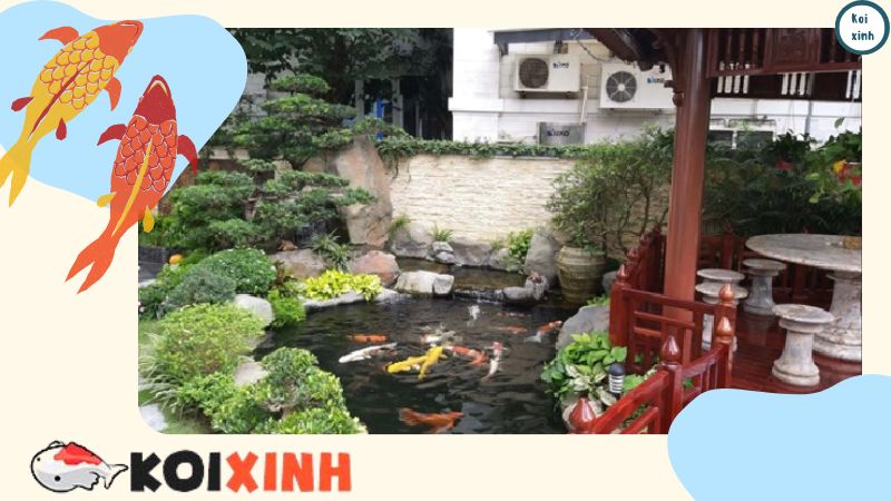 Hướng Dẫn Cách Chăm Sóc Cá Koi Lên Màu đẹp, Uy Tín, Chất Lượng – Gọi 0976870033 Hướng Dẫn Cách Chăm Sóc Cá Koi Lên Màu đẹp, Uy Tín, Chất Lượng – Gọi 0976870033