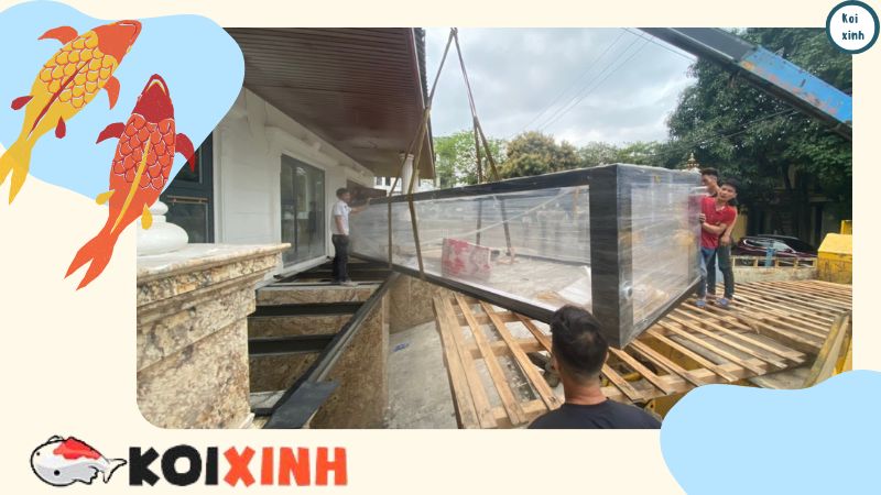 Thiết Kế Và Thi Công Hồ Cá Koi Rẻ, đẹp – Gọi 0976870033 Thiết Kế Và Thi Công Hồ Cá Koi Rẻ, đẹp – Gọi 0976870033