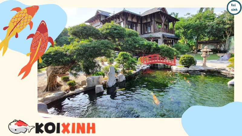 Hướng Dẫn Chăm Sóc Cá Koi Trong Mùa Mưa Uy Tín, Chất Lượng – Gọi 0976870033 Hướng Dẫn Chăm Sóc Cá Koi Trong Mùa Mưa Uy Tín, Chất Lượng – Gọi 0976870033