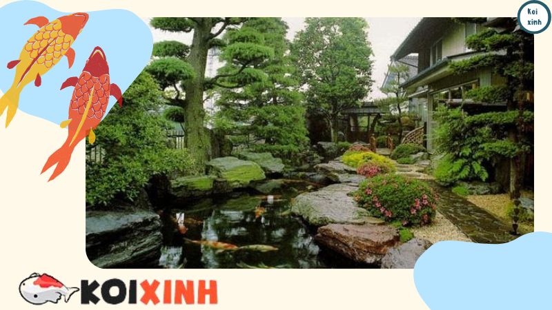 Thiết Kế Và Thi Công Hồ Cá Koi Ngoài Trời Tại Hà Nội, Thái Bình, Lào Cai, Uy Tín, Chất Lượng – Gọi 0976870033 Thiết Kế Và Thi Công Hồ Cá Koi Ngoài Trời Tại Hà Nội, Thái Bình, Lào Cai, Uy Tín, Chất Lượng – Gọi 0976870033