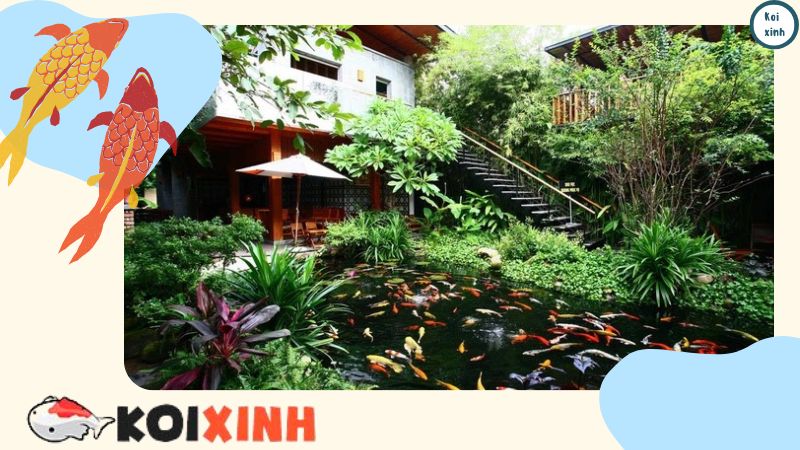 Thiết Kế Và Thi Công Hồ Cá Koi Ngoài Trời Tại Hà Nội, Thái Bình, Lào Cai, Uy Tín, Chất Lượng – Gọi 0976870033 Thiết Kế Và Thi Công Hồ Cá Koi Ngoài Trời Tại Hà Nội, Thái Bình, Lào Cai, Uy Tín, Chất Lượng – Gọi 0976870033
