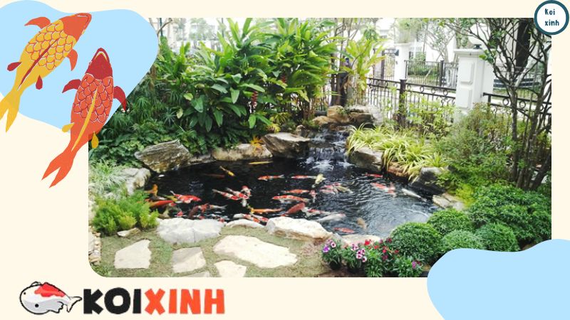 Thiết Kế Và Thi Công Hồ Cá Koi Ngoài Trời Tại Hà Nội, Thái Bình, Lào Cai, Uy Tín, Chất Lượng – Gọi 0976870033 Thiết Kế Và Thi Công Hồ Cá Koi Ngoài Trời Tại Hà Nội, Thái Bình, Lào Cai, Uy Tín, Chất Lượng – Gọi 0976870033