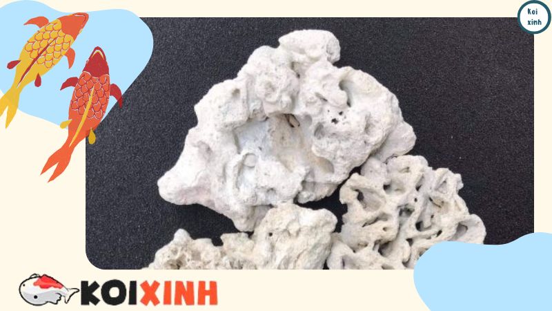 Hệ Thống Lọc Nước đạt Chuẩn Cho Hồ Cá Koi – Bạn đã Biết? Hệ Thống Lọc Nước đạt Chuẩn Cho Hồ Cá Koi – Bạn đã Biết?