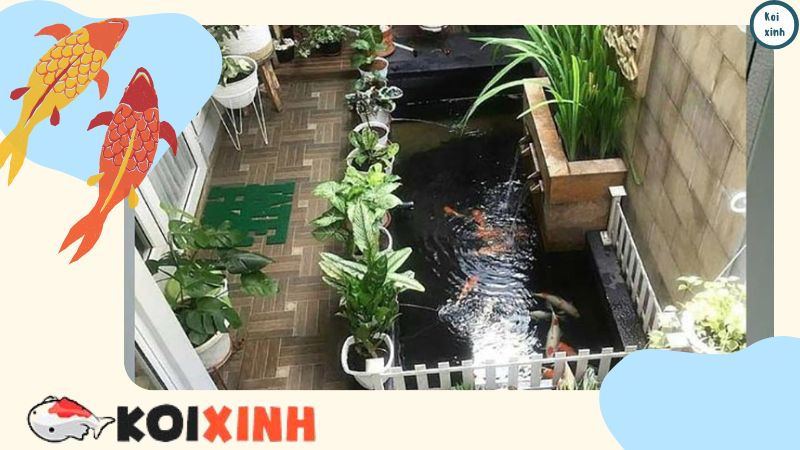 Thi Công Hồ Cá Koi Mini Trong Nhà – Kích Thước Hồ Cá Koi Mini Thi Công Hồ Cá Koi Mini Trong Nhà – Kích Thước Hồ Cá Koi Mini