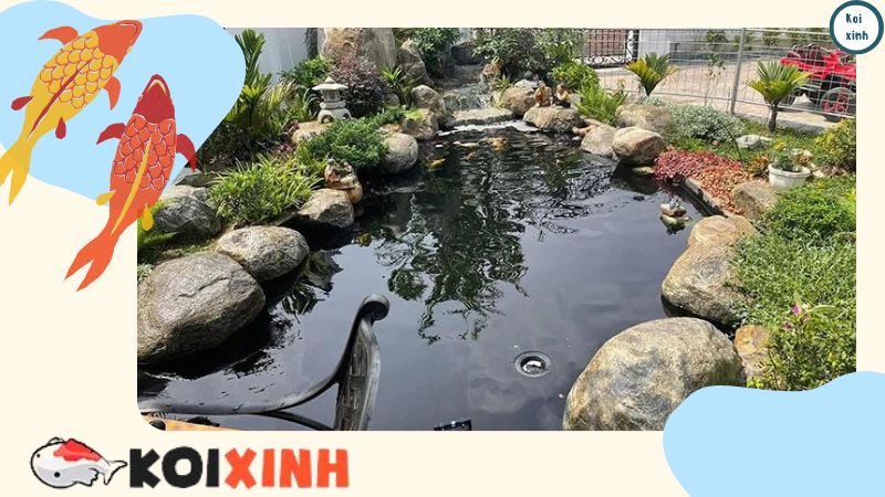 Thi Công, Thiết Kế Hồ Cá Koi đẹp Trong Vườn – Bảo Hành Dài Hạn – Gọi 0976870033 Thi Công, Thiết Kế Hồ Cá Koi đẹp Trong Vườn – Bảo Hành Dài Hạn – Gọi 0976870033