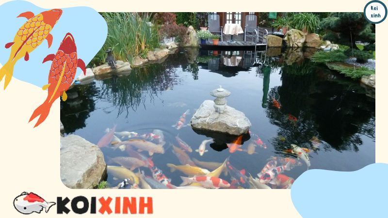 Hệ Thống Lọc Hồ Cá Koi đạt Chuẩn – Thi Công, Thiết Kế Hồ Cá Koi – Gọi 0976870033 Hệ Thống Lọc Hồ Cá Koi đạt Chuẩn – Thi Công, Thiết Kế Hồ Cá Koi – Gọi 0976870033