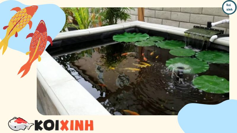 Hồ Cá Koi Hiện đại đạt Chuẩn – Thi Công, Thiết Kế Hồ Cá Koi Tại Hà Nội Hồ Cá Koi Hiện đại đạt Chuẩn – Thi Công, Thiết Kế Hồ Cá Koi Tại Hà Nội