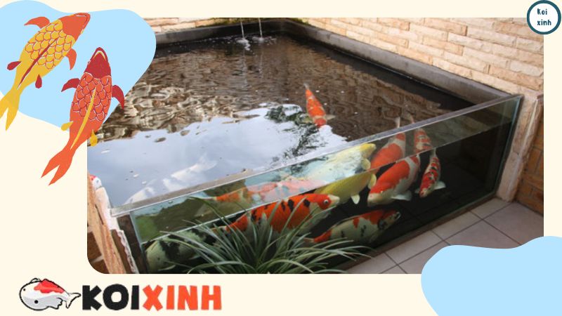 Thi Công Hồ Cá Koi Mini Trong Nhà – Kích Thước Hồ Cá Koi Mini