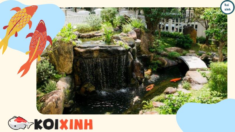 Báo Giá Hồ Cá Koi – Thi Công Giá Rẻ, An Toàn, Uy Tín – Hotline 0976870033 Báo Giá Hồ Cá Koi – Thi Công Giá Rẻ, An Toàn, Uy Tín – Hotline 0976870033
