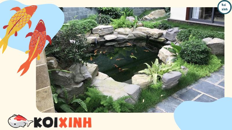 Thi Công Hồ Cá Koi Mini Trong Nhà – Kích Thước Hồ Cá Koi Mini