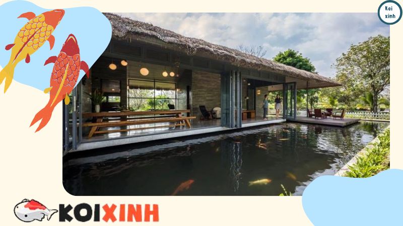 Báo Giá Hồ Cá Koi – Thi Công Giá Rẻ, An Toàn, Uy Tín – Hotline 0976870033 Báo Giá Hồ Cá Koi – Thi Công Giá Rẻ, An Toàn, Uy Tín – Hotline 0976870033