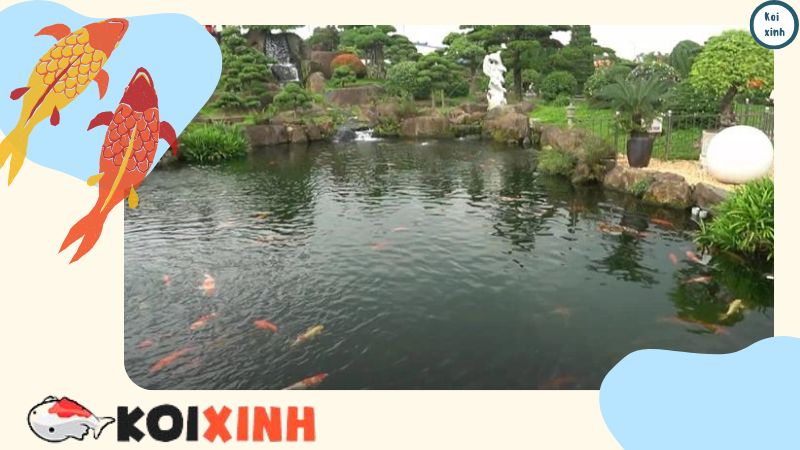 Hà Nội Thi Công Thiết Kế Hồ Cá Koi đẹp Giá Rẻ – Bảo Hành Dài Hạn – Gọi 0976870033