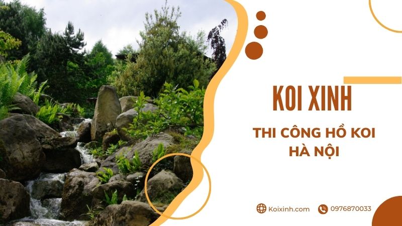 Hà Nội Thi Công Hồ Cá Koi – Điều Cần Biết Về Cách Làm Trong Nước Hồ Cá Ngoài Trời Hà Nội Thi Công Hồ Cá Koi – Điều Cần Biết Về Cách Làm Trong Nước Hồ Cá Ngoài Trời