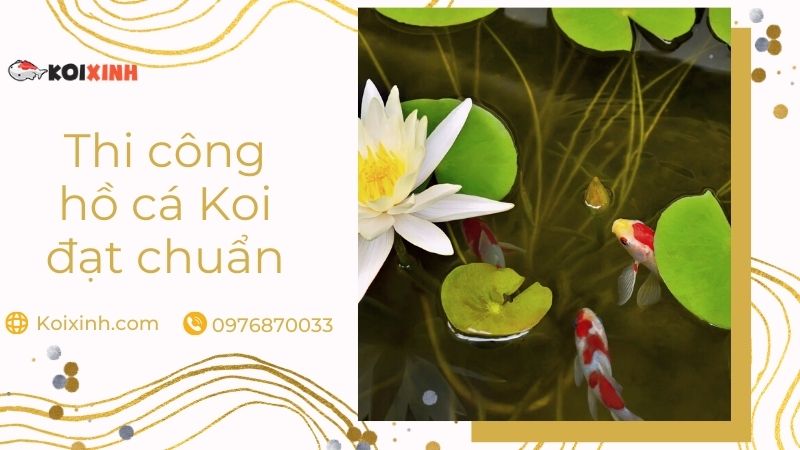 Thiết Kế, Thi Công Hồ Cá Koi đạt Chuẩn – Uy Tín, Bảo Hành Dài Hạn Thiết Kế, Thi Công Hồ Cá Koi đạt Chuẩn – Uy Tín, Bảo Hành Dài Hạn