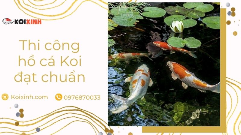 Thiết Kế, Thi Công Hồ Cá Koi đạt Chuẩn – Uy Tín, Bảo Hành Dài Hạn Thiết Kế, Thi Công Hồ Cá Koi đạt Chuẩn – Uy Tín, Bảo Hành Dài Hạn