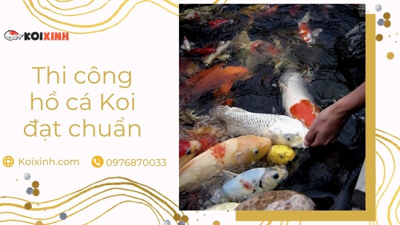 Thiết Kế, Thi Công Hồ Cá Koi đạt Chuẩn – Uy Tín, Bảo Hành Dài Hạn Thiết Kế, Thi Công Hồ Cá Koi đạt Chuẩn – Uy Tín, Bảo Hành Dài Hạn